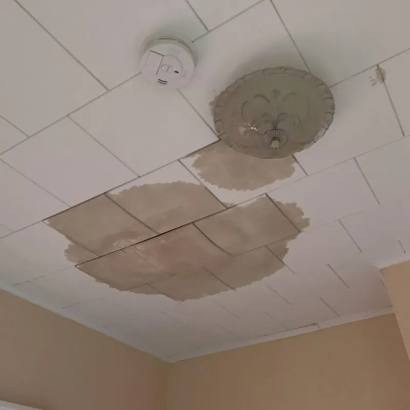 Ceiling Water Damage Repair in Wilburton, OK
