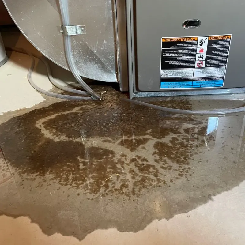 Pipe Burst and Leak Restoration in Wilburton, OK